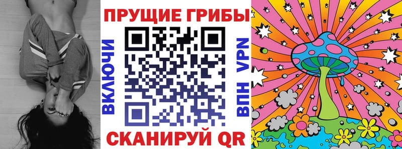 Псилоцибиновые грибы Cubensis  darknet клад  Богучар  ссылка на мегу маркетплейс 